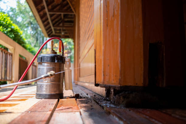 Best Wasp Removal Services  in Paxton, IL